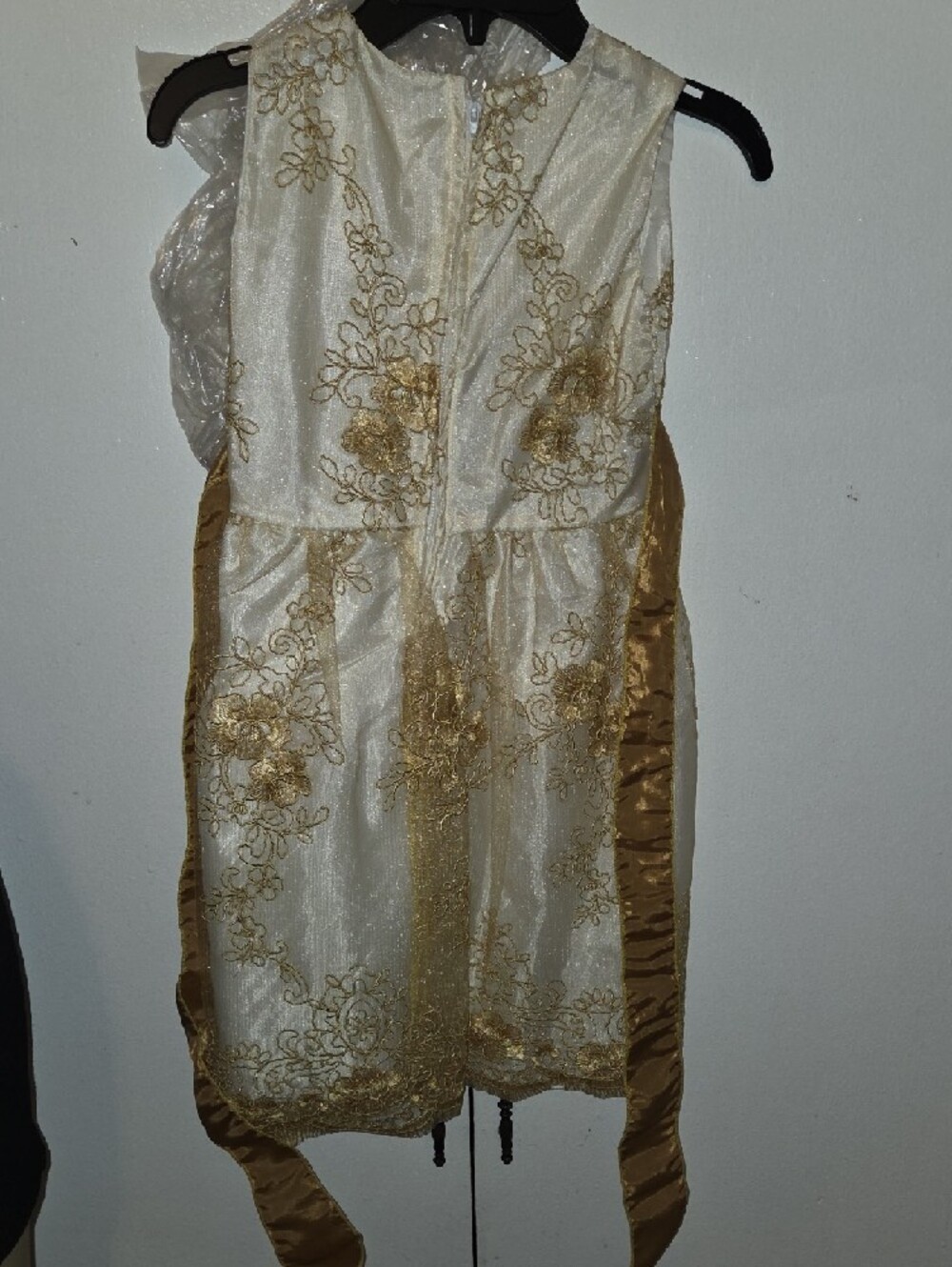 Ivory and Gold Floral Lace Party Dress - Picture 2 of 3